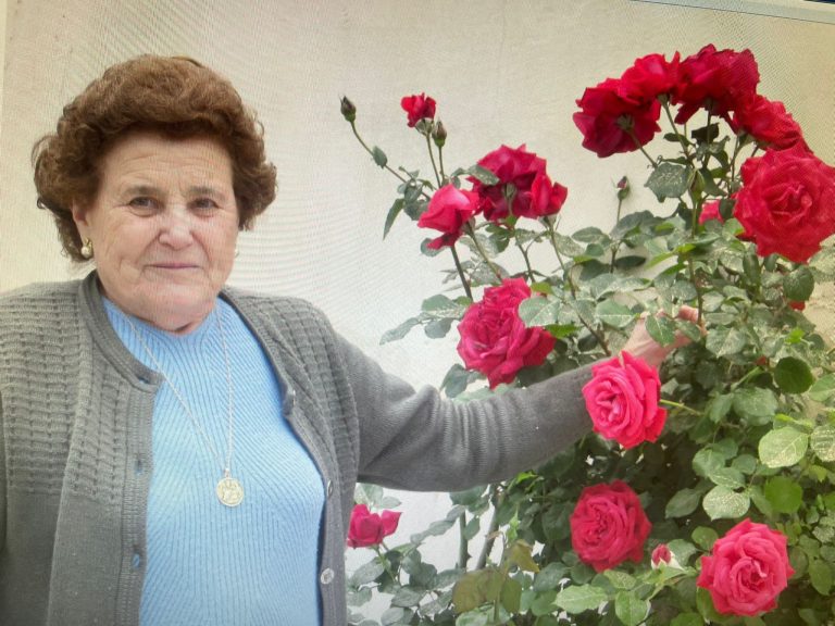 IMG 20240727 WA0017 768x576